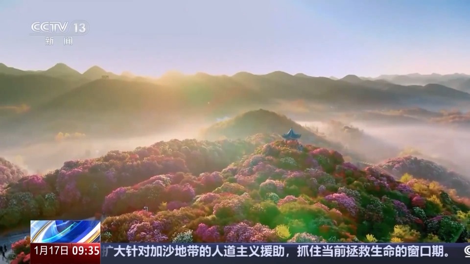 美丽中国先行区划定了哪些区域？该怎么建？专家解读