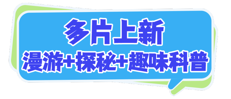 总台周看点丨能量满满，动起来！