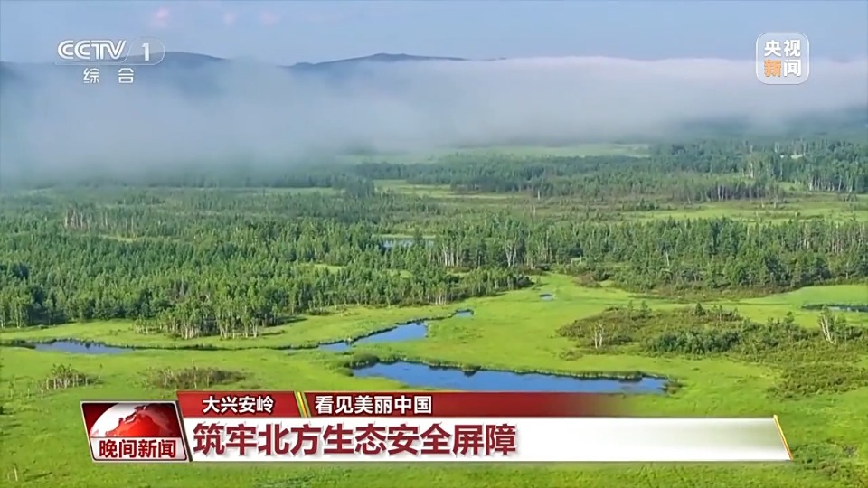 看见美丽中国丨停伐十年 看“绿色宝库”大兴安岭的转型路→
