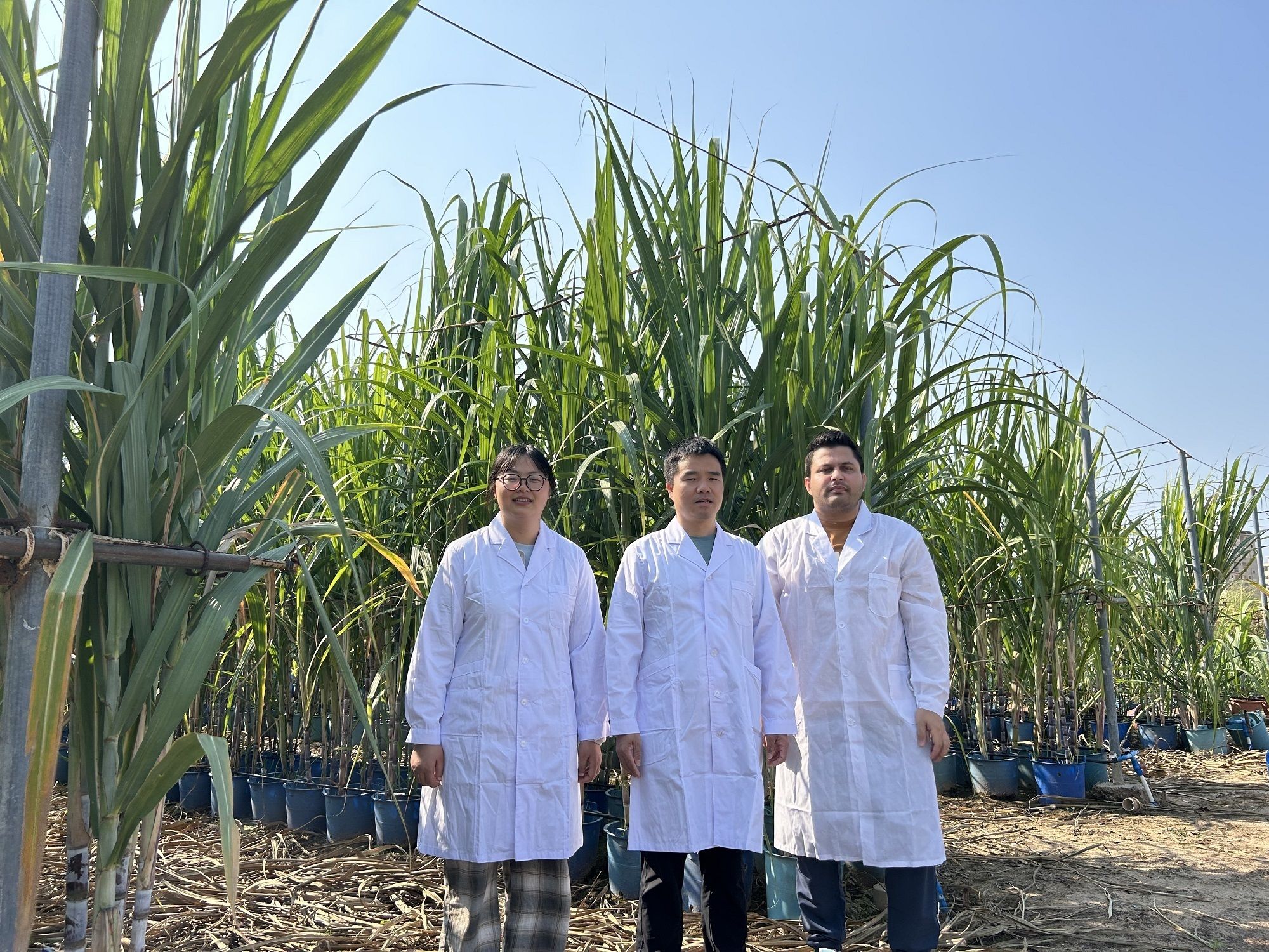 资讯有故事丨巴基斯坦农业学者讲述 中国“南繁硅谷”为啥这么有吸引力？