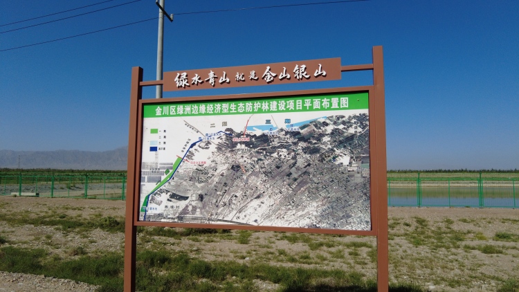甘肃金川：三北防护林筑起“绿色长城” 荒漠变绿洲书写生态民生共赢答卷_fororder_2