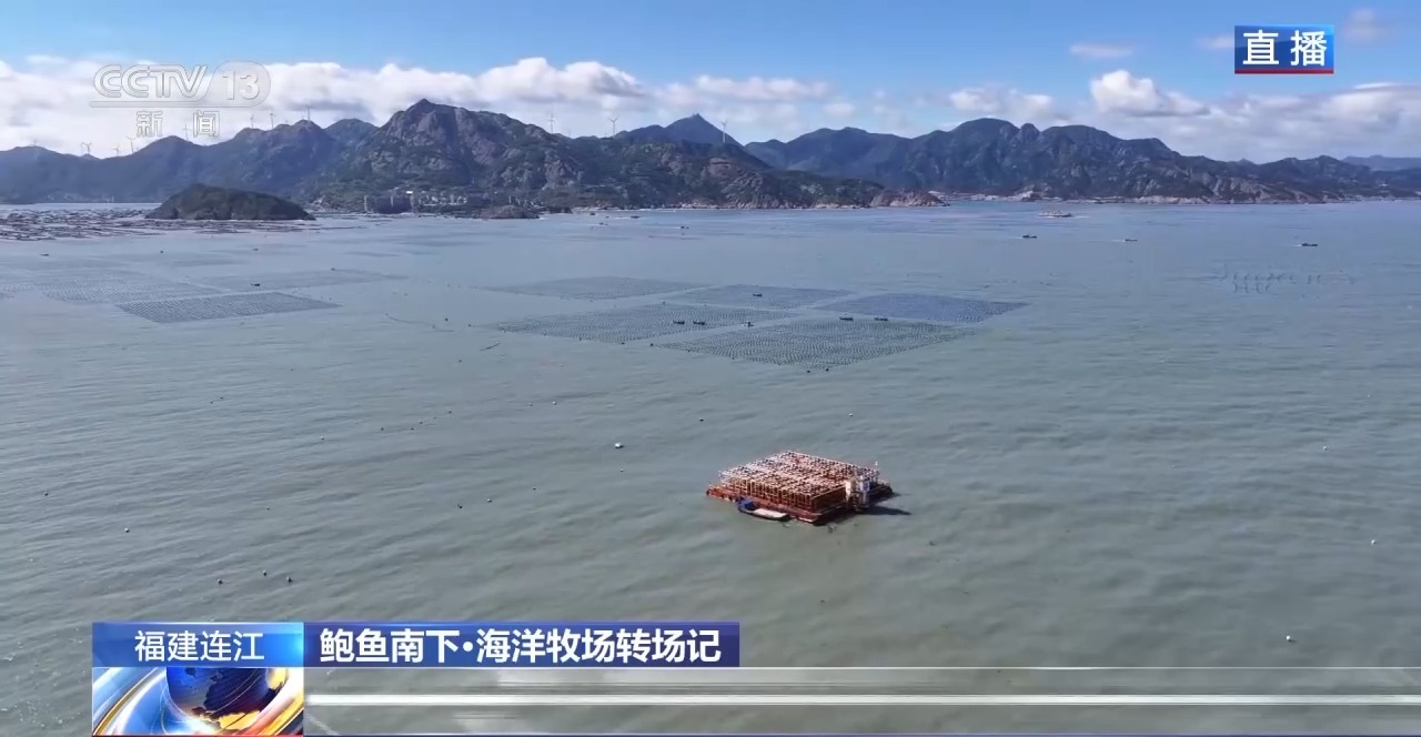 鲍鱼也要“走南闯北”越冬避暑？揭秘小鲍鱼的“候鸟式”养殖