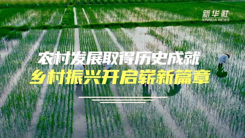 数说新中国75年｜农村发展取得历史成就 乡村振兴开启崭新篇章