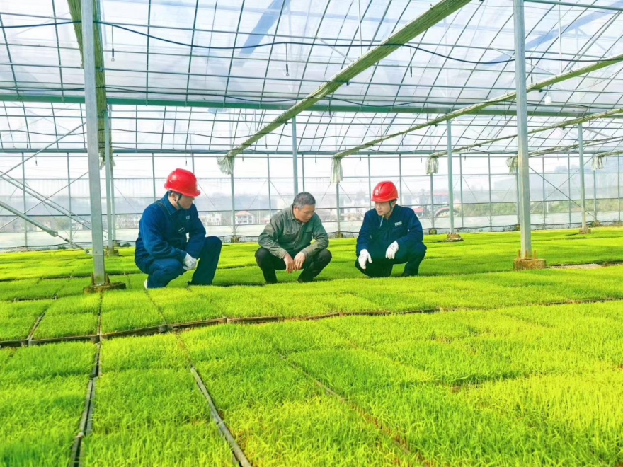 Smart Farming: Powering the Future of Harvest_fororder_图片2