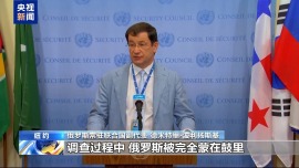央视记者观察丨俄称“北溪”调查俄方被排除 丹麦否认
