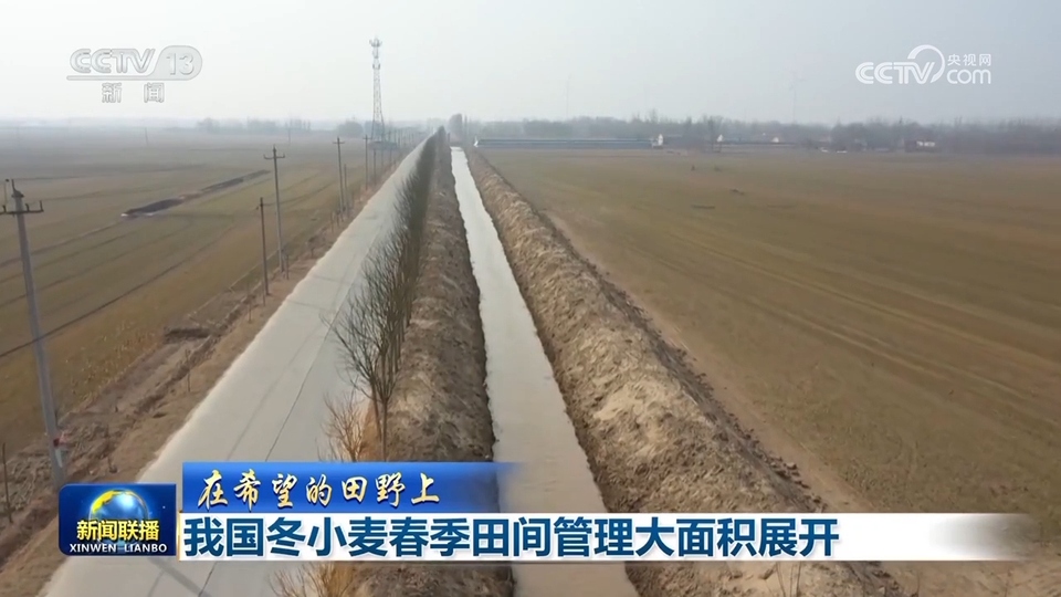 【在希望的田野上】我国冬小麦春季田间管理大面积展开
