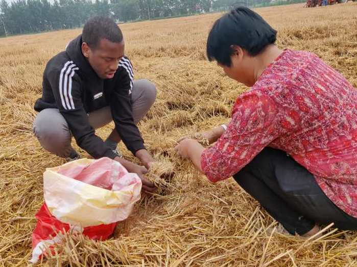 资讯有故事︱农业科技小院为何能走向世界？全国人大代表张福锁这样说→