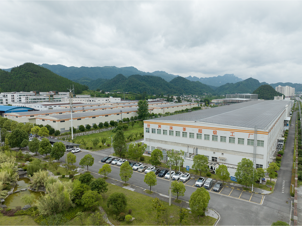 A New Paradigm of “Intelligent Tea Manufacturing”: Guizhou Matcha Aroma Spreads Worldwide_fororder_图片3