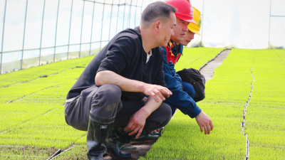 Spring Plowing's "Electric Engine" Irrigates a Promising "Harvest" Scene