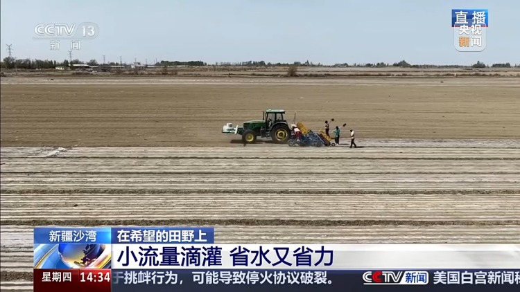 视频丨误差不到万分之一！播种用上北斗导航效率翻倍