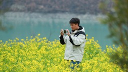 油菜花开引客来 陇南文县释放文旅新活力