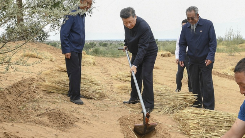 【讲习所·追光的你】习近平用“四个最”诠释劳动观_fororder_推荐图