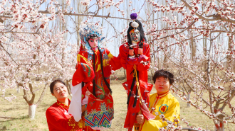 张掖甘州：杏花烂漫迎宾客 踏春赏景醉春风