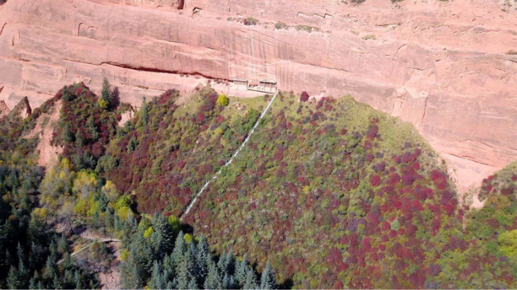 【何以中国·壁画里的中国】一位守窟人的二十年：与孤寂为伴，以赤诚守护“国宝”