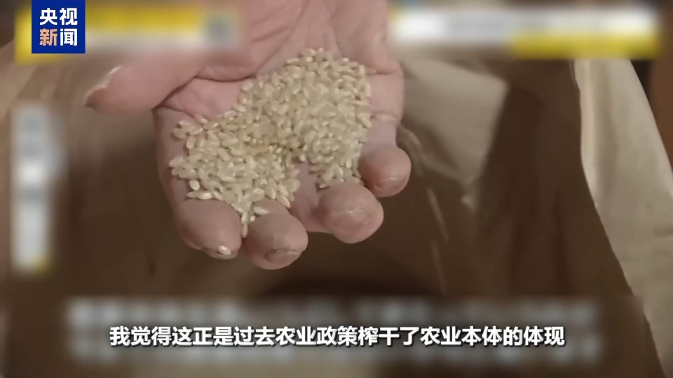 “米荒”还在持续 米价咋就难倒了这个“吃米大国”？