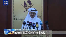 卡塔尔外交部：加沙停火协议最新方案是当前“最佳方案”