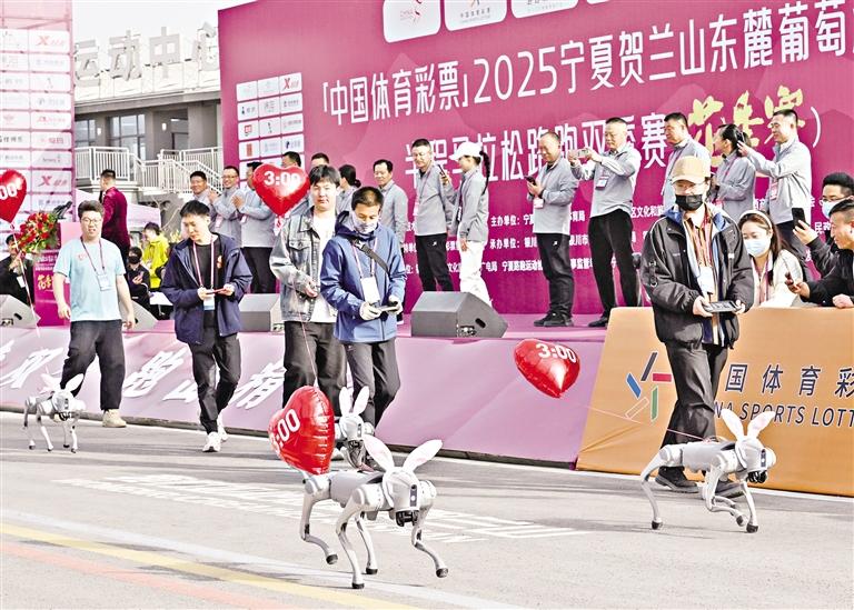 畅跑贺兰山下
