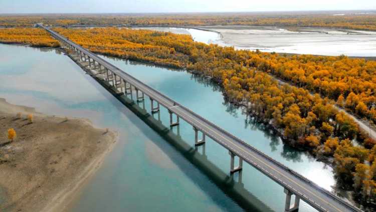 沙漠“绿围脖”越织越厚——新疆持续推进塔克拉玛干沙漠边缘阻击战调查