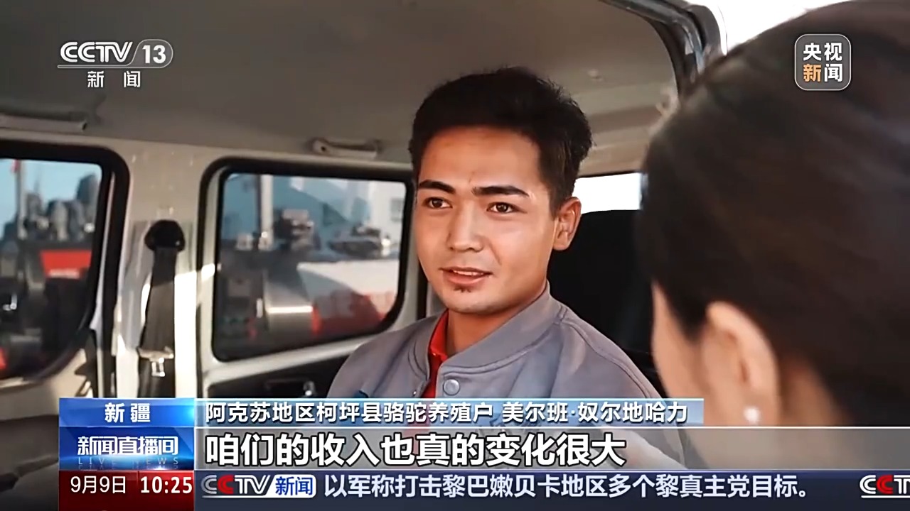 砥砺奋进七十载 天山南北谱华章丨从沙漠之舟到产业之舟 新疆骆驼产业用上智能化生产线