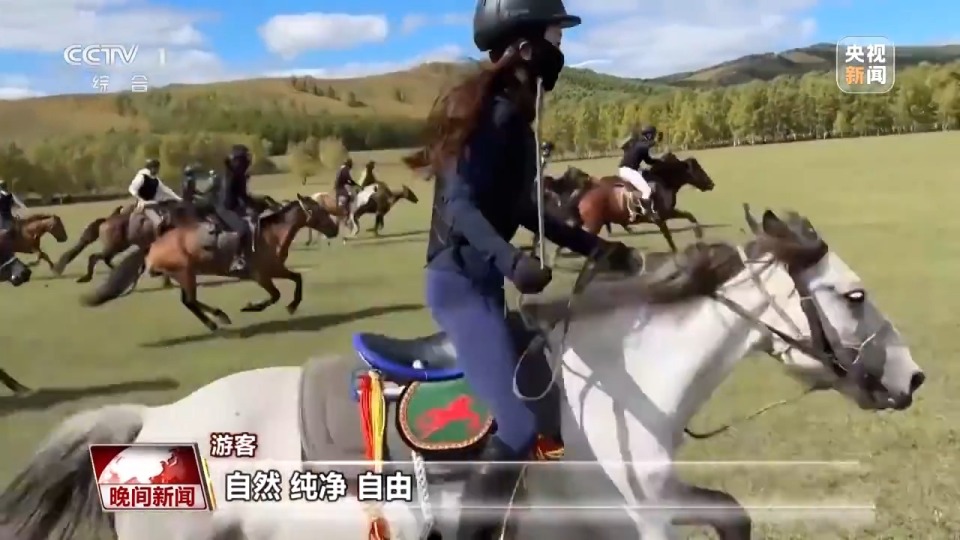 看见美丽中国丨停伐十年 看“绿色宝库”大兴安岭的转型路→