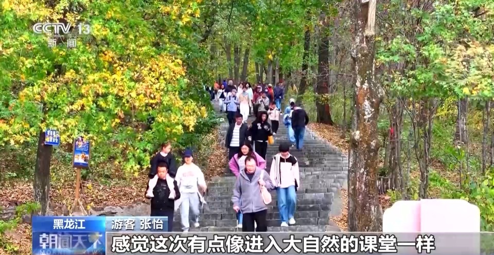 树叶DIY、制作漆扇、打卡商圈……这些活动好玩又出片