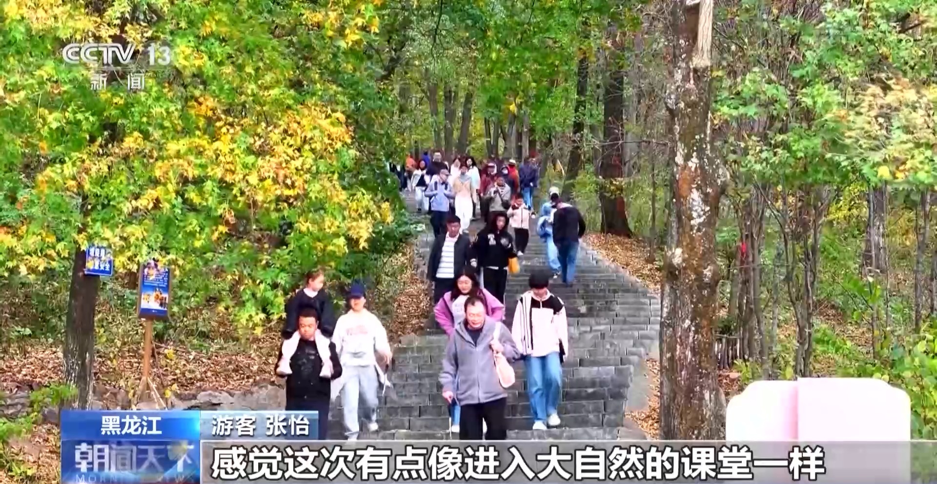 树叶DIY、制作漆扇、打卡商圈……这些活动好玩又出片