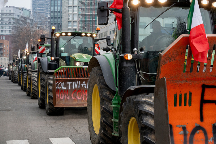 闪评 | 历经25年博弈  欧盟为何此时终于通过欧盟—南共市自贸协定？