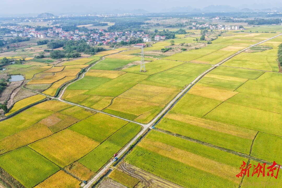 湖南道县沃野绘“丰”景_fororder_1761609988613