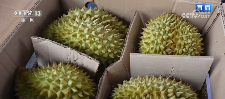 集市人气旺、年宵花争艳 “年货消费”活力充沛激发经济增长新动能