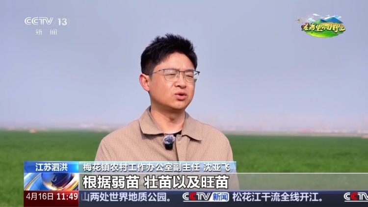 智能化育秧、无人机施肥、机器播种 “智慧春耕”正在进行中