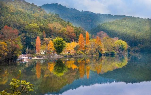 文化中国行·立冬 | 岭南立冬春意同，新梅万朵映晴空