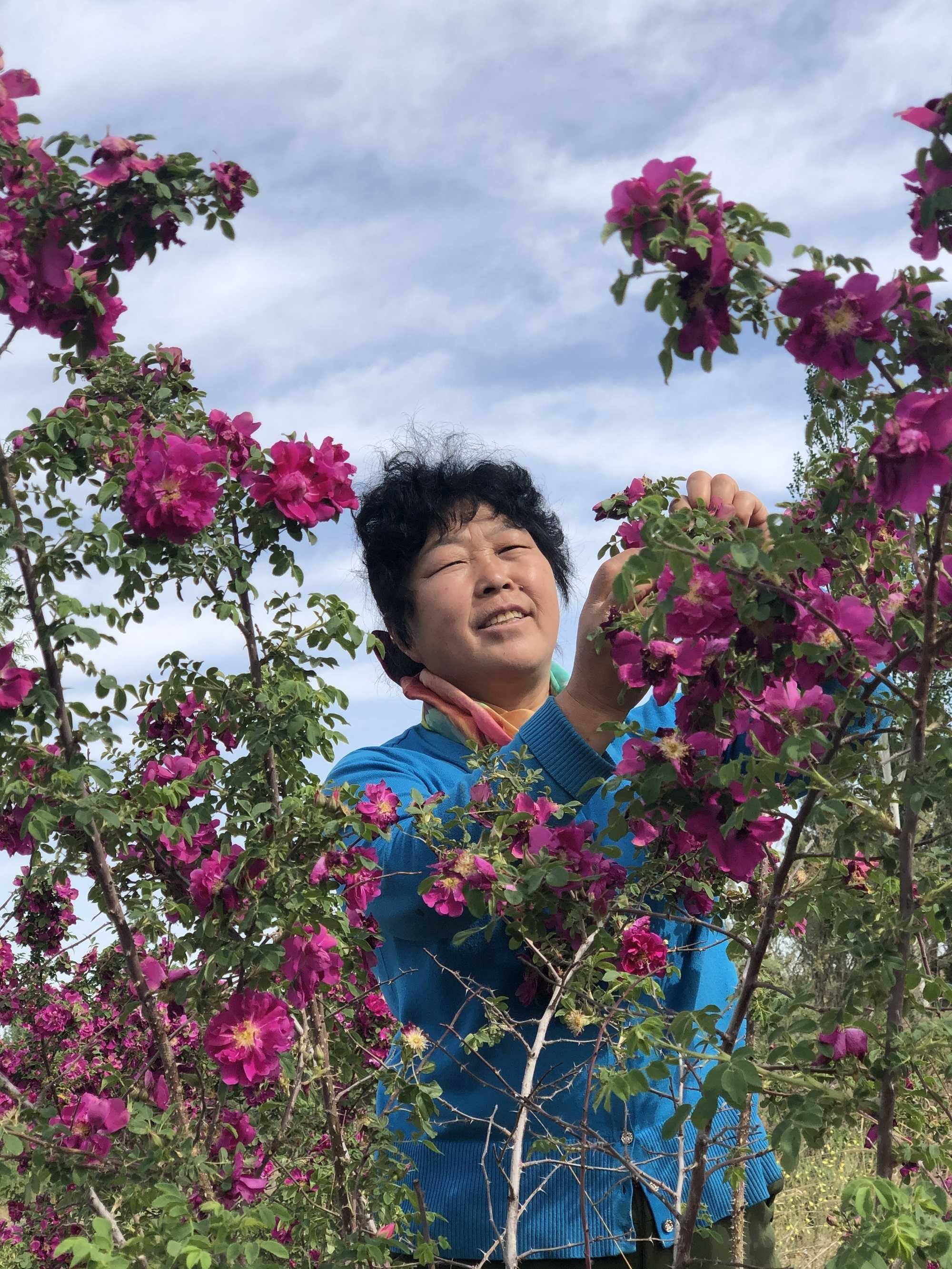 资讯有故事︱“你太好了，我们要去帮你” 这些外国友人为何纷纷到内蒙古种树？