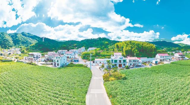 “凉资源”兴乡村_fororder_b696964b-d395-4f7a-853c-93172a4e7e09