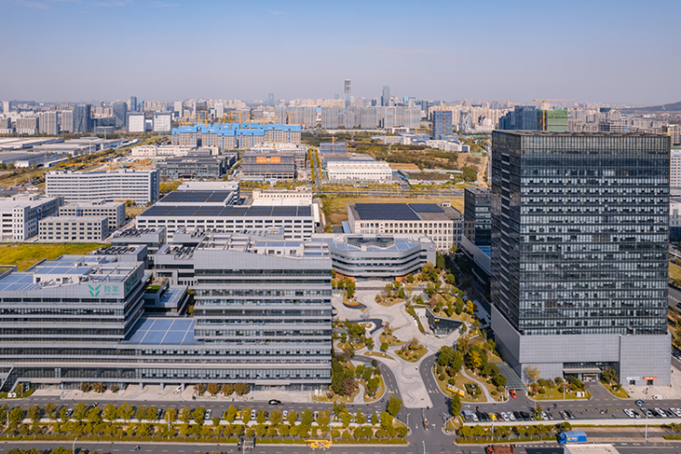 新五子登科③丨合肥“智”变向未来