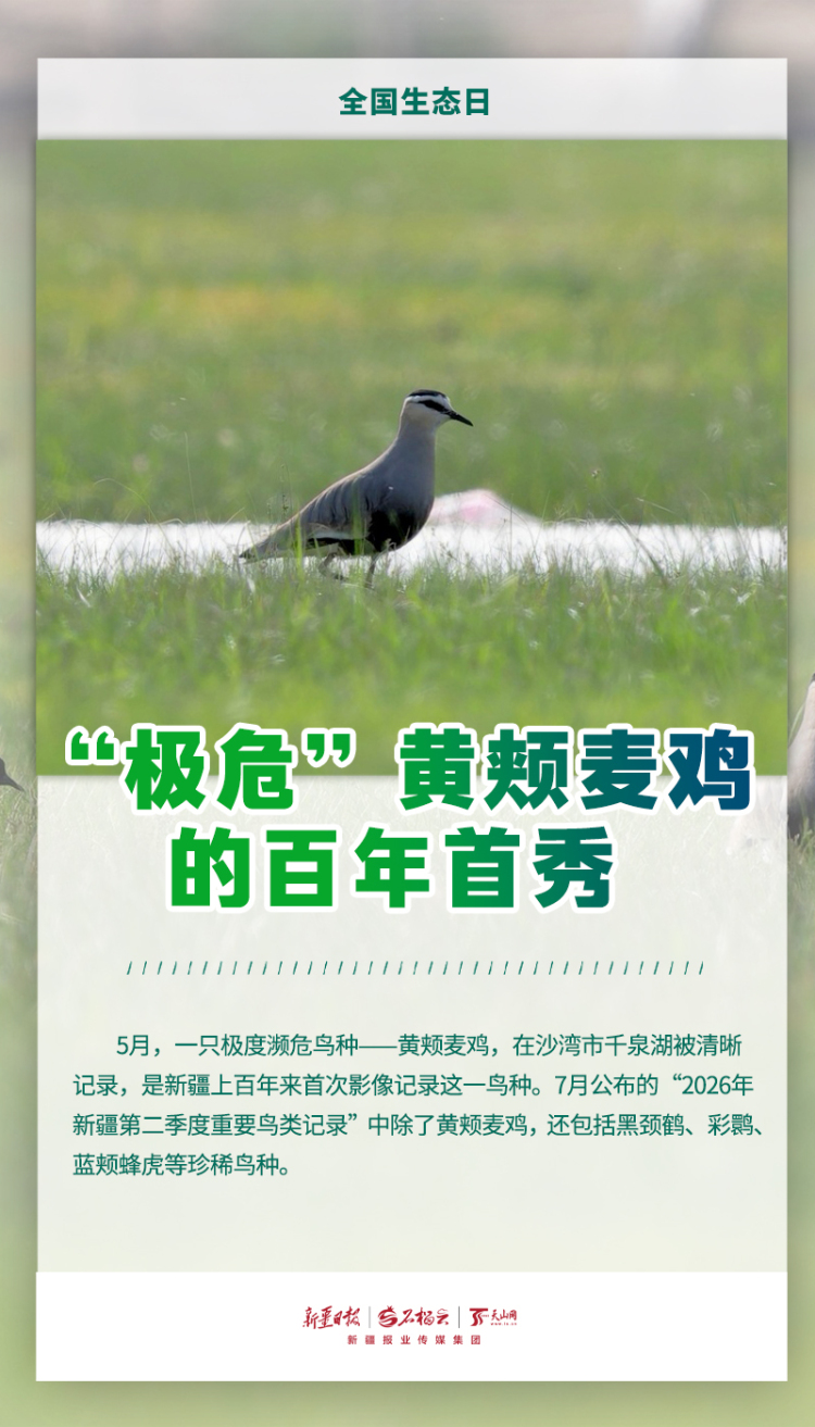全国生态日丨当鸟兽草木频频“出圈”，看见新疆的生态底气