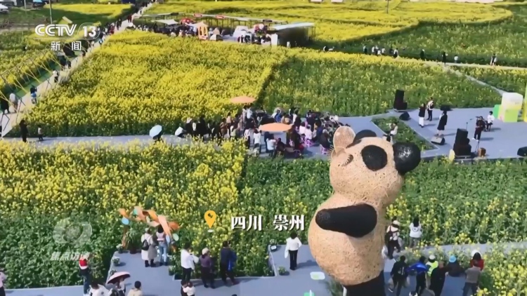 焦点访谈｜“春日经济”背后蕴藏高质量发展密码