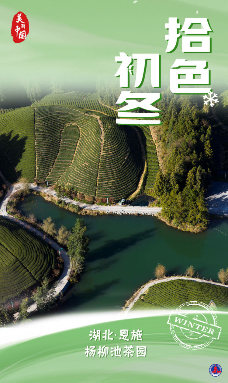 海报｜美丽中国·拾色初冬
