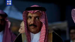 沙特驻伊朗大使：支持地区局势降温