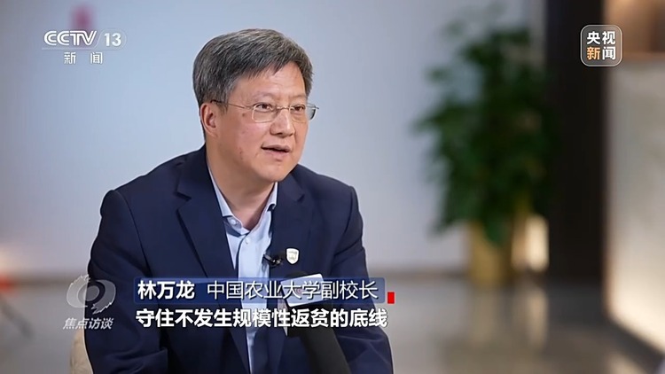 焦点访谈丨如何扎实推进乡村全面振兴?深化改革是关键