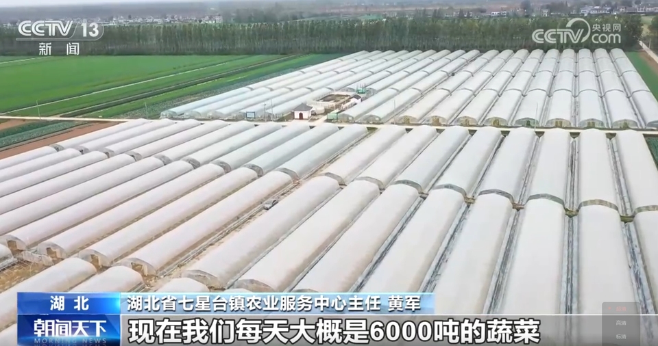 各产区采取有效措施确保蔬菜“温暖”过冬 智能设施助力稳产保质
