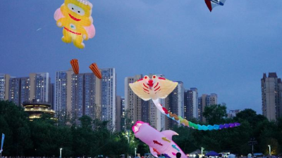 2025 Guiyang Baiyun International Kite Festival Wraps Up with Great Success