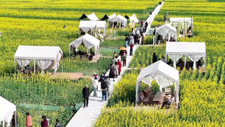 新华视点｜春日盛景赋能“花经济” 文旅融合焕发新活力