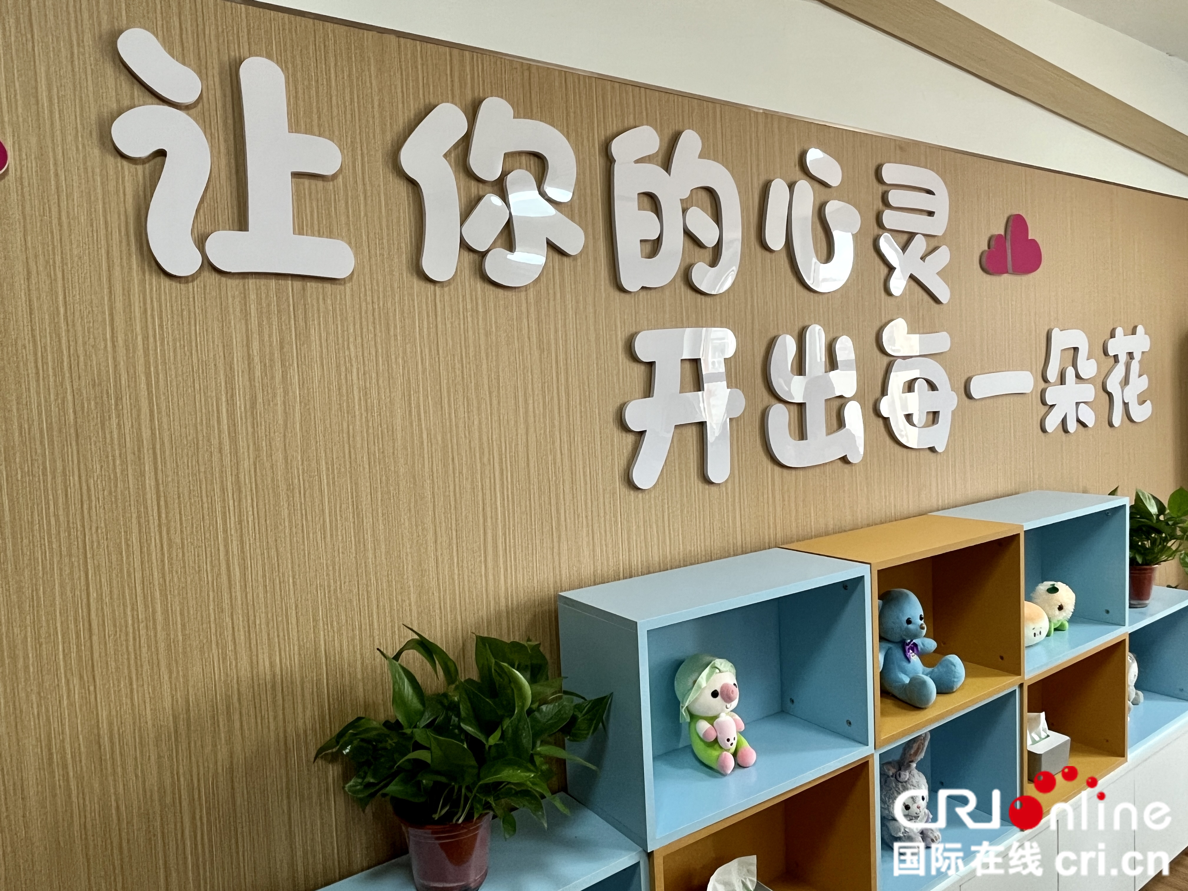 普法双轨并进，法雨润泽鹰城——“全国网络普法行”平顶山站活动纪实_fororder_4