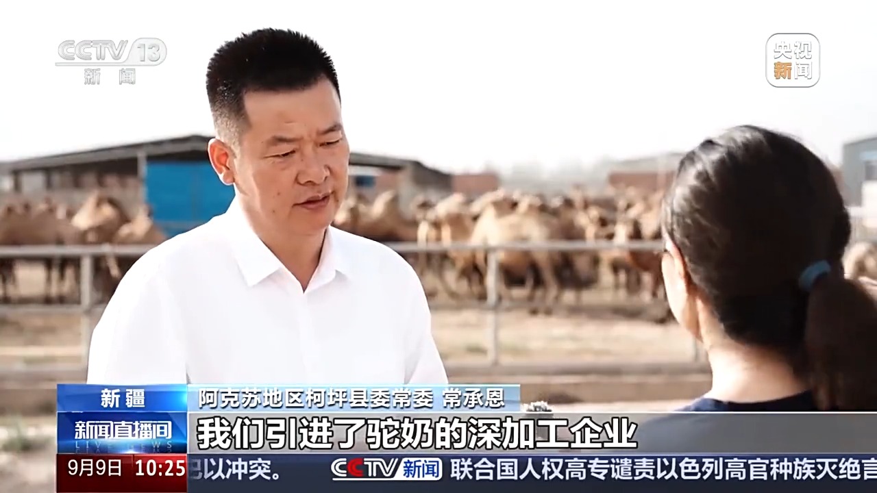 砥砺奋进七十载 天山南北谱华章丨从沙漠之舟到产业之舟 新疆骆驼产业用上智能化生产线