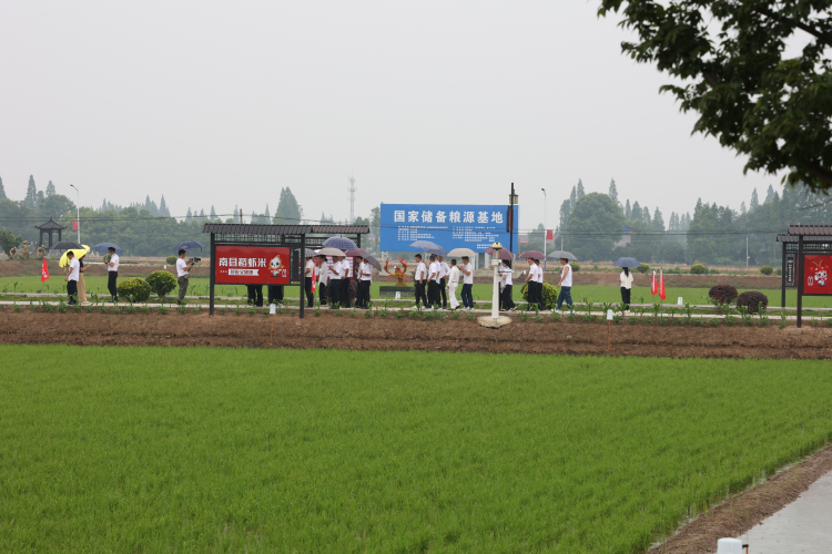 一堂培训搞活水稻田 湖南洞口稻虾产业出圈_fororder_2