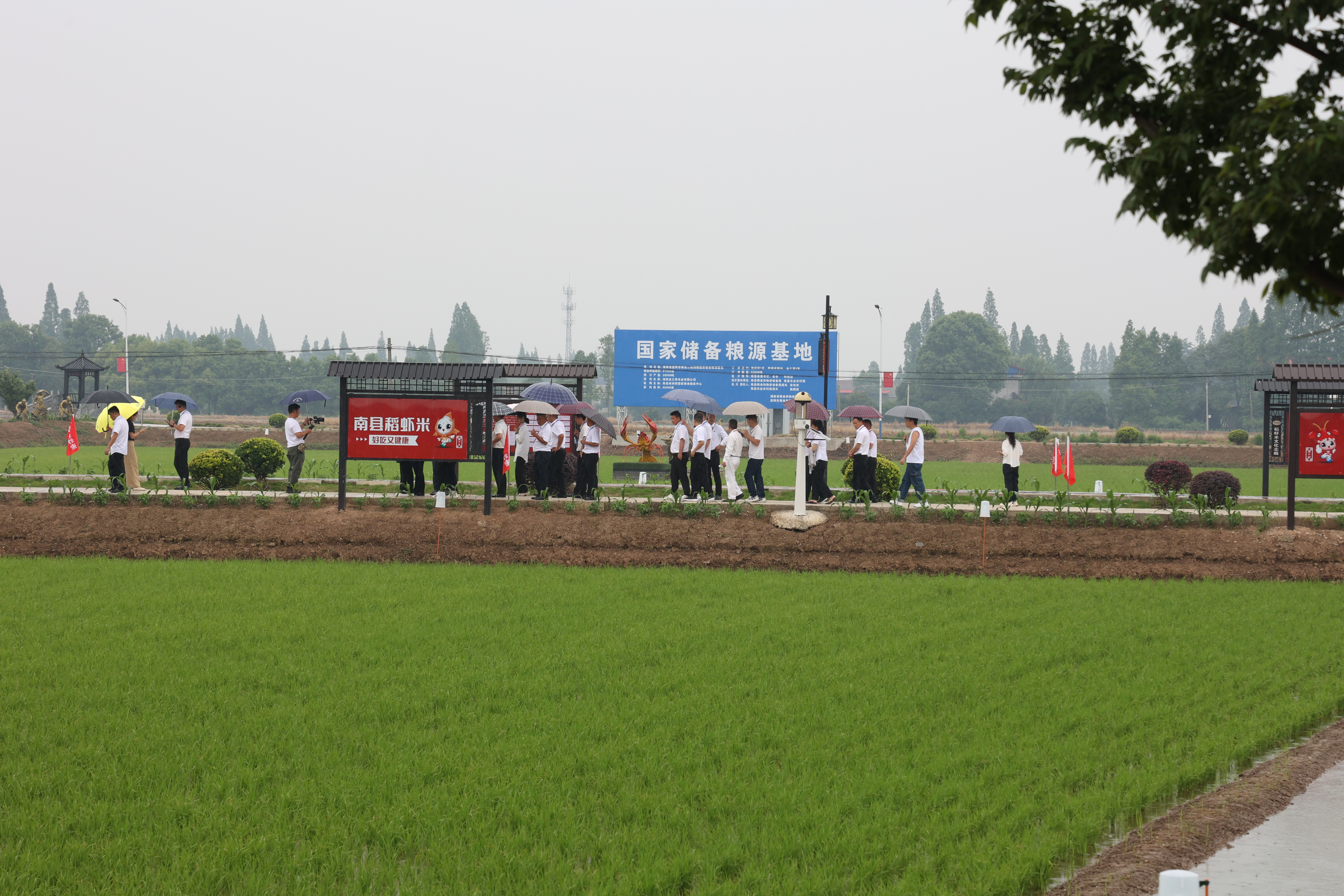 一堂培训搞活水稻田 湖南洞口稻虾产业出圈_fororder_2