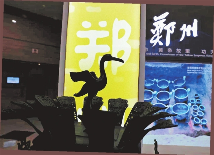 在河南 遇见上合丨那么远 这么近——身边的上合故事