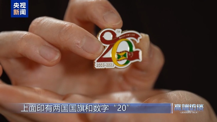 高端访谈丨专访格林纳达总理米切尔