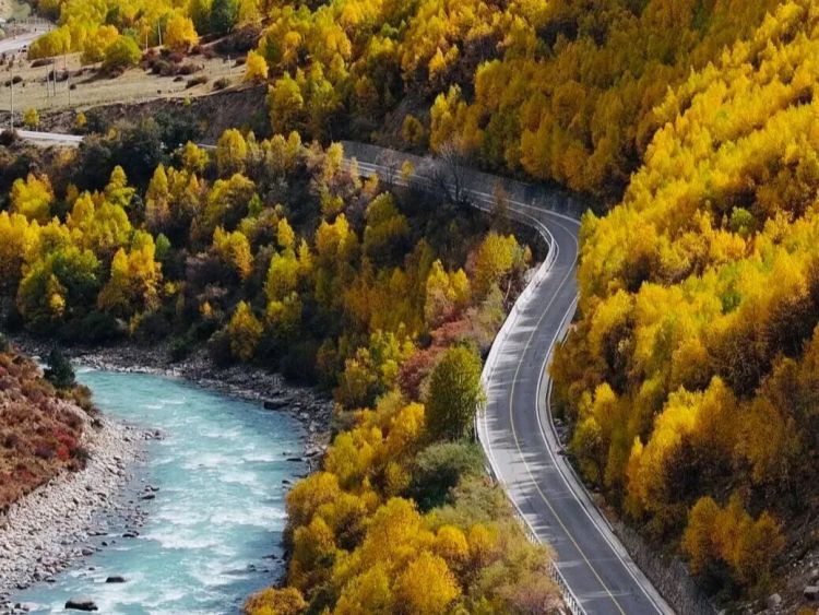 西藏秋季拍大片，不用专业相机就能框住三色美！