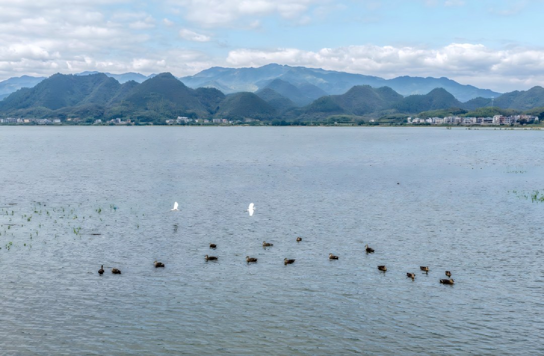 '녹수청산'에서 '금산은산'으로…퉁루, 자연 속 공동부유의 길을 그리다_fororder_11